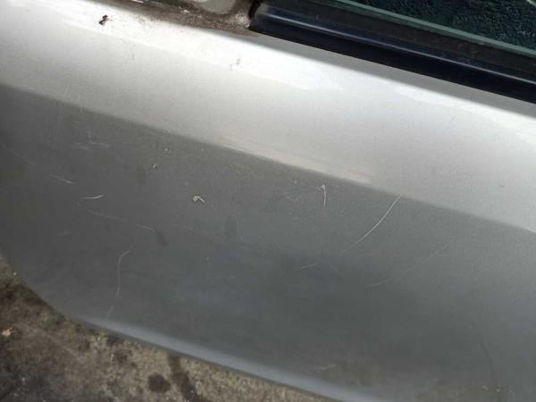 PORTE AVANT GAUCHE NISSAN - Vue 2